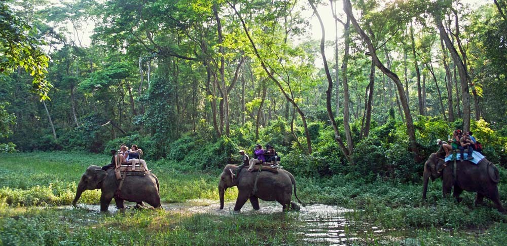 Chitwan National Park Tour